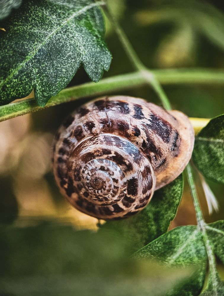 Photograph by Hannah Surji