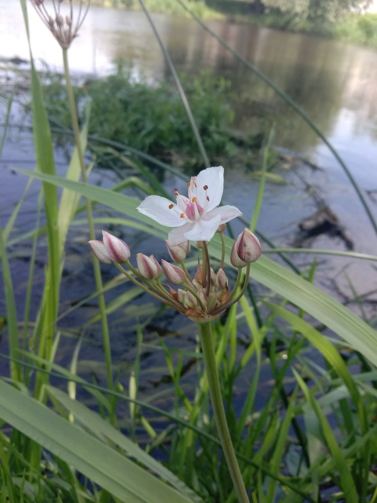 Photograph by Вячеслав Чирин