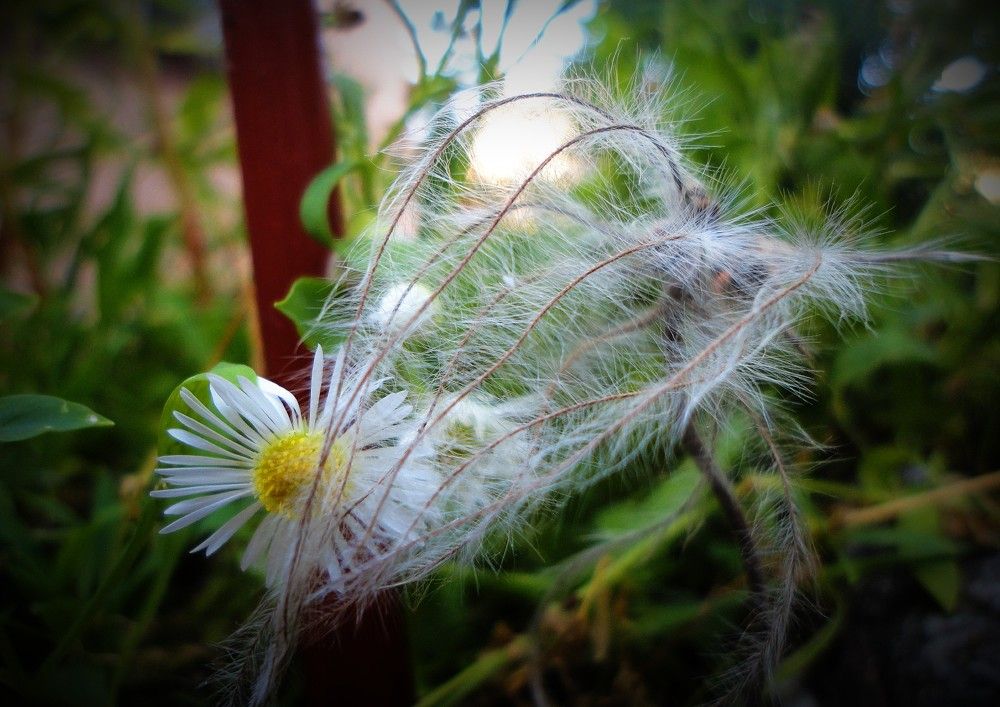 Photograph by Дмитрий Соколов