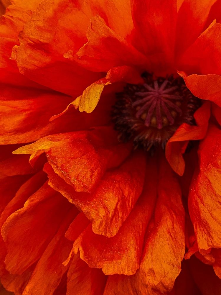 Фотография автора Лариса Гришкевич