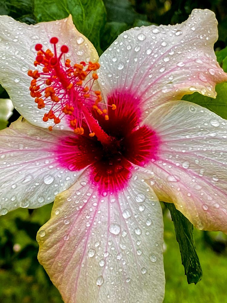 Фотография автора Лариса Гришкевич