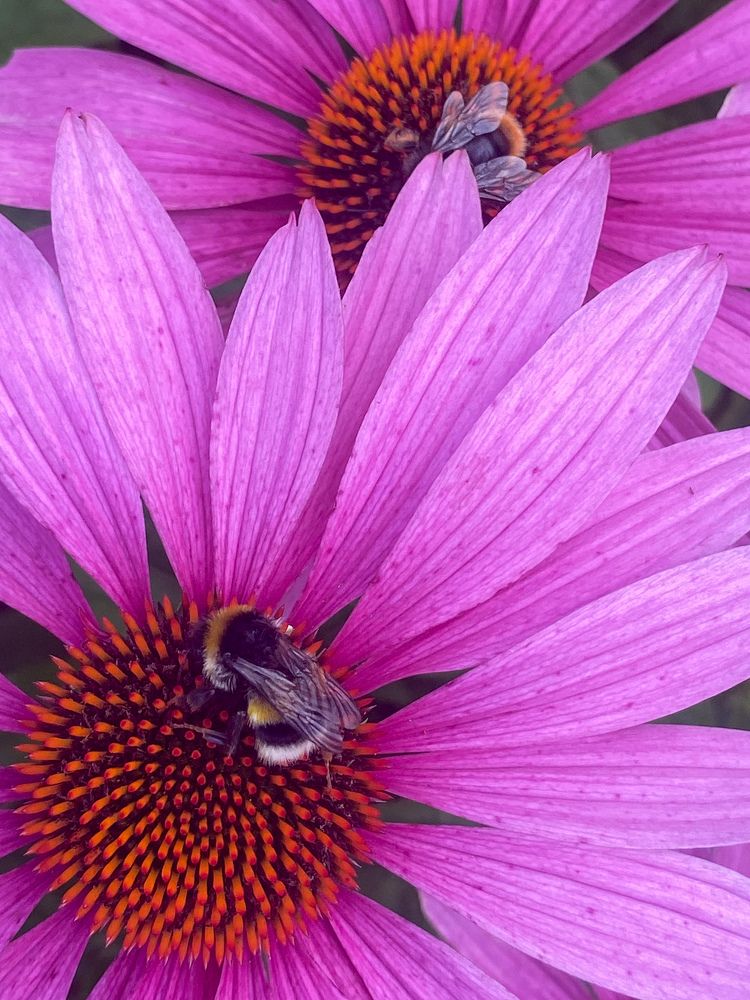 Фотография автора Лариса Гришкевич