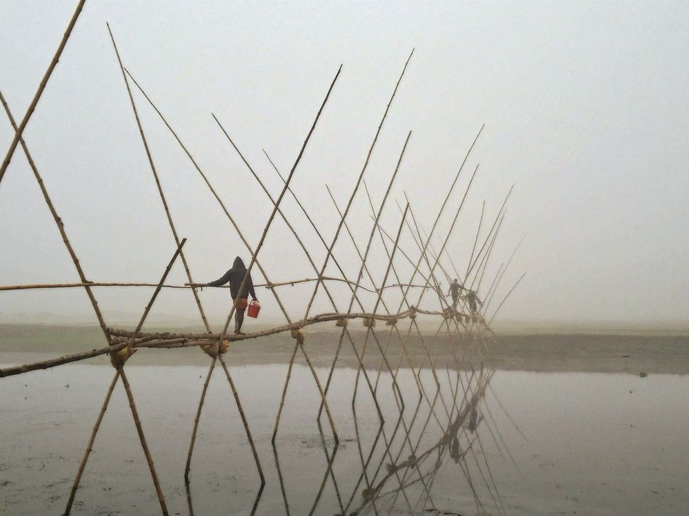 Photograph by Mohammed Rifatul Alam Siam