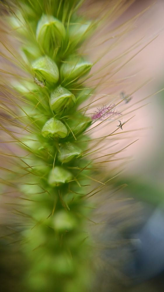 Photograph by Татьяна Пятернёва