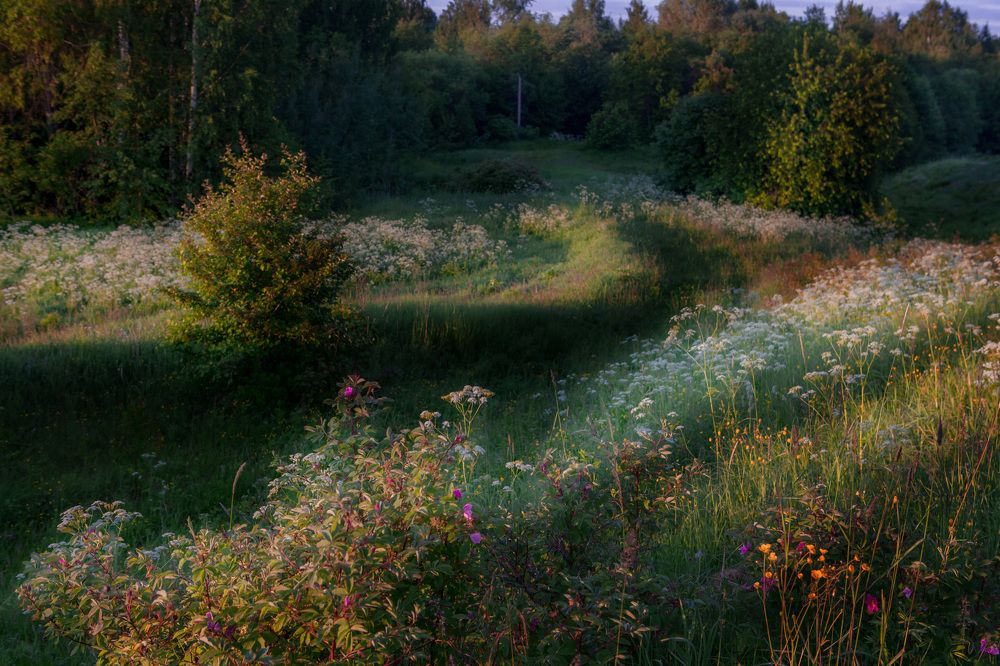 Photograph by Наталья Вторыгина