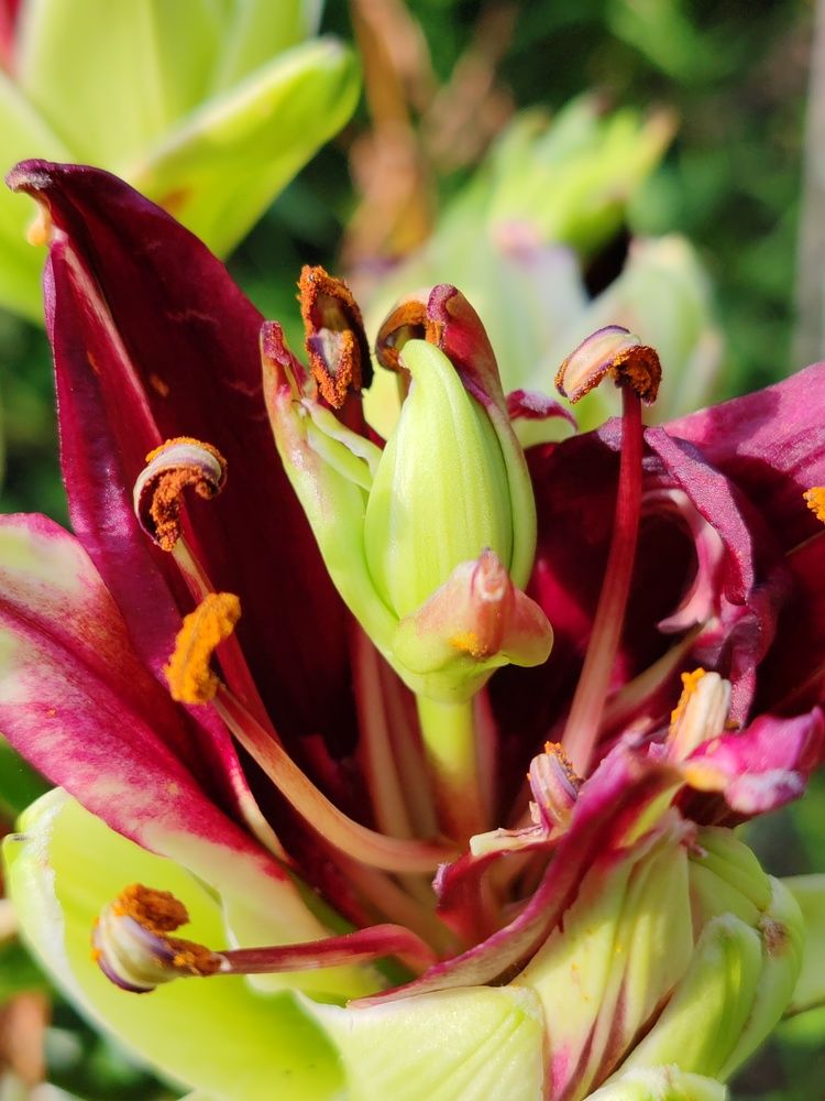 Photograph by Наталья Круглова