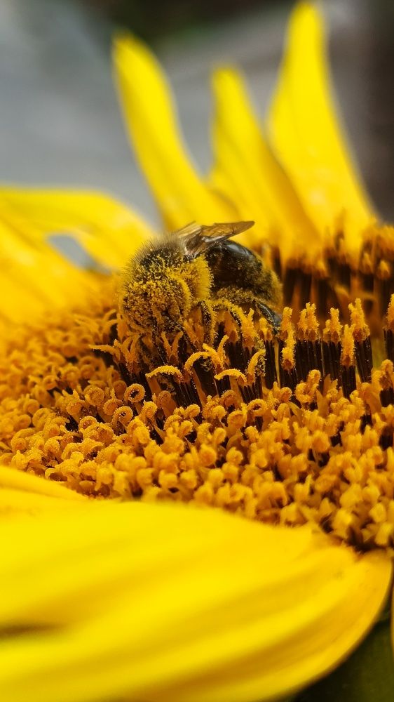 Photograph by Татьяна Пятернёва