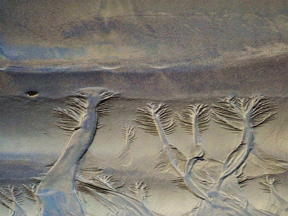 Фотография автора DENISE Monteiro de Lima Demange