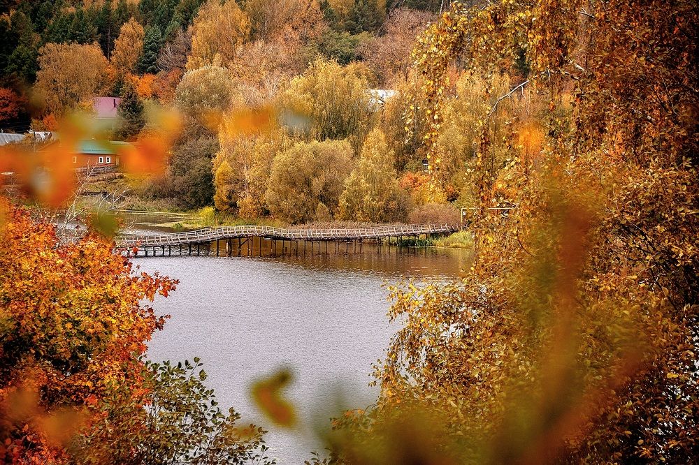 Photograph by Елена Ефимова