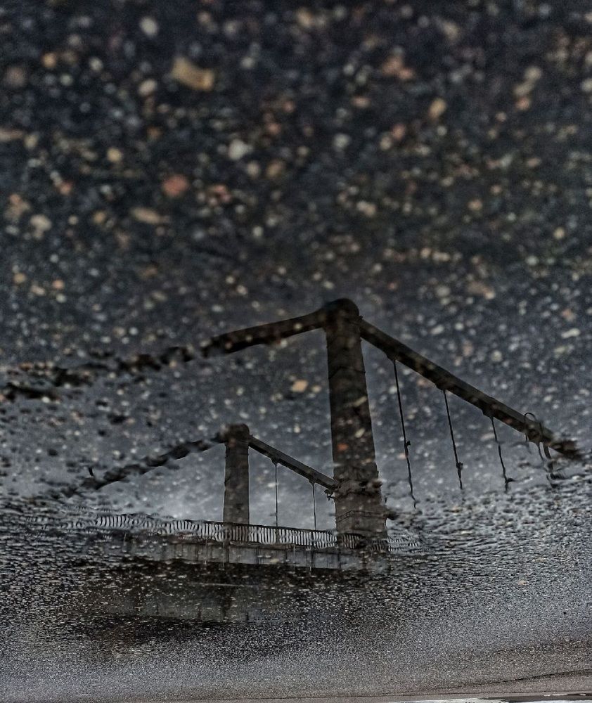 Фотография автора Natalya Firsova