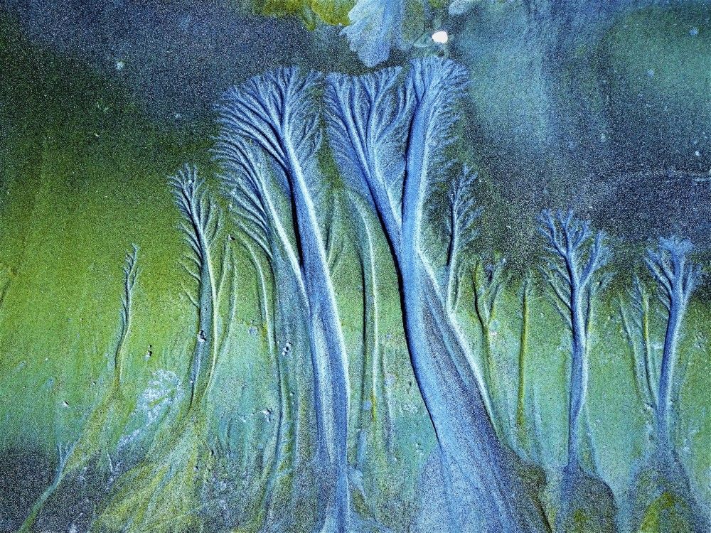 Фотография автора DENISE Monteiro de Lima Demange