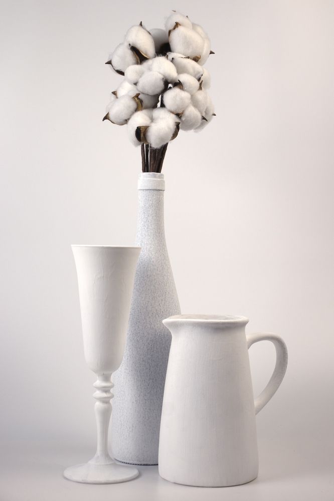 Фотография автора Дарья Обидина