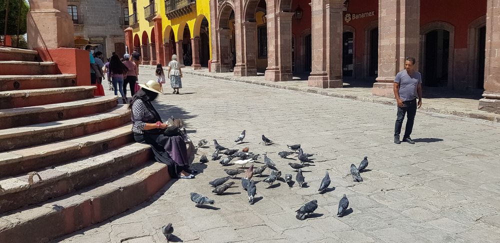 WOMAN FEEDING THE PIGEONS
