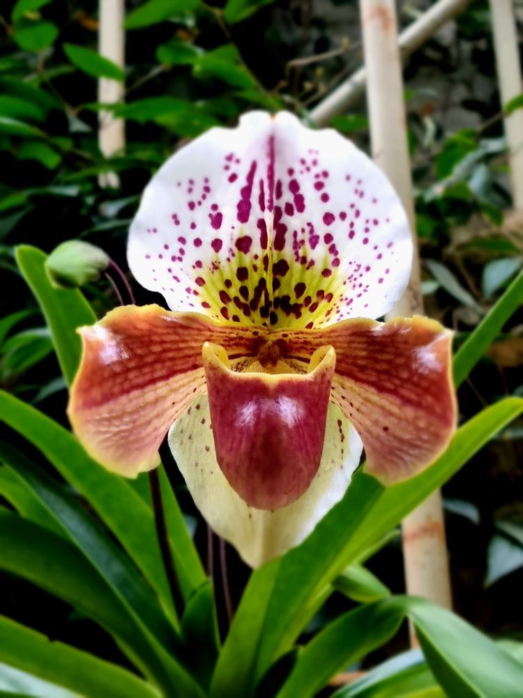 Photograph by Максим Иванов