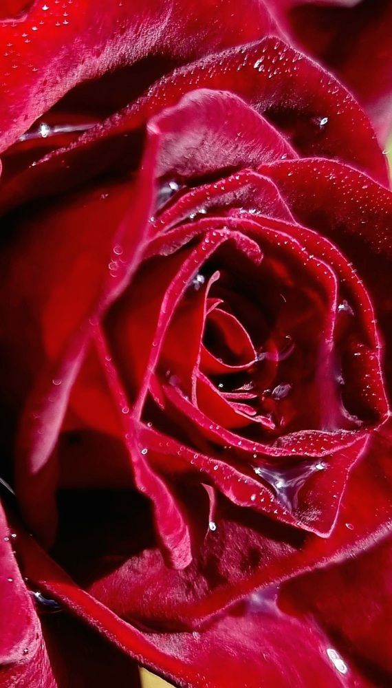 Photograph by Максим Иванов