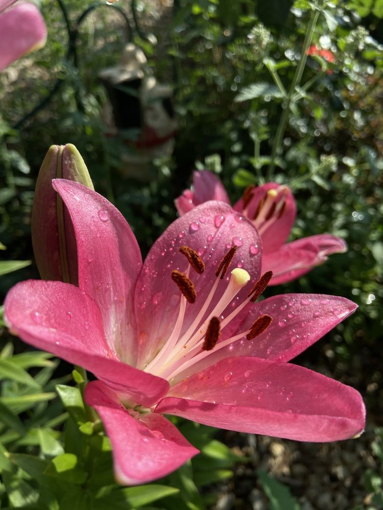 Photograph by Наталья Душакова