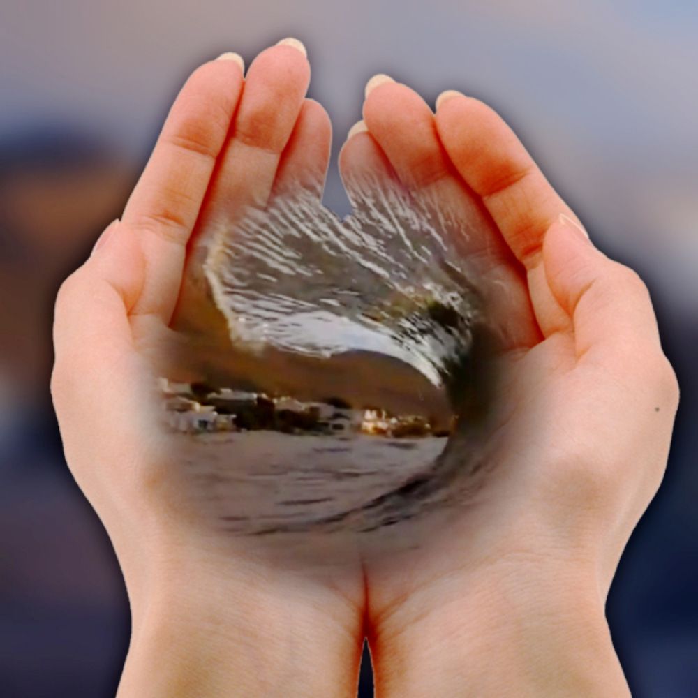 Фотография автора ANA  LIA