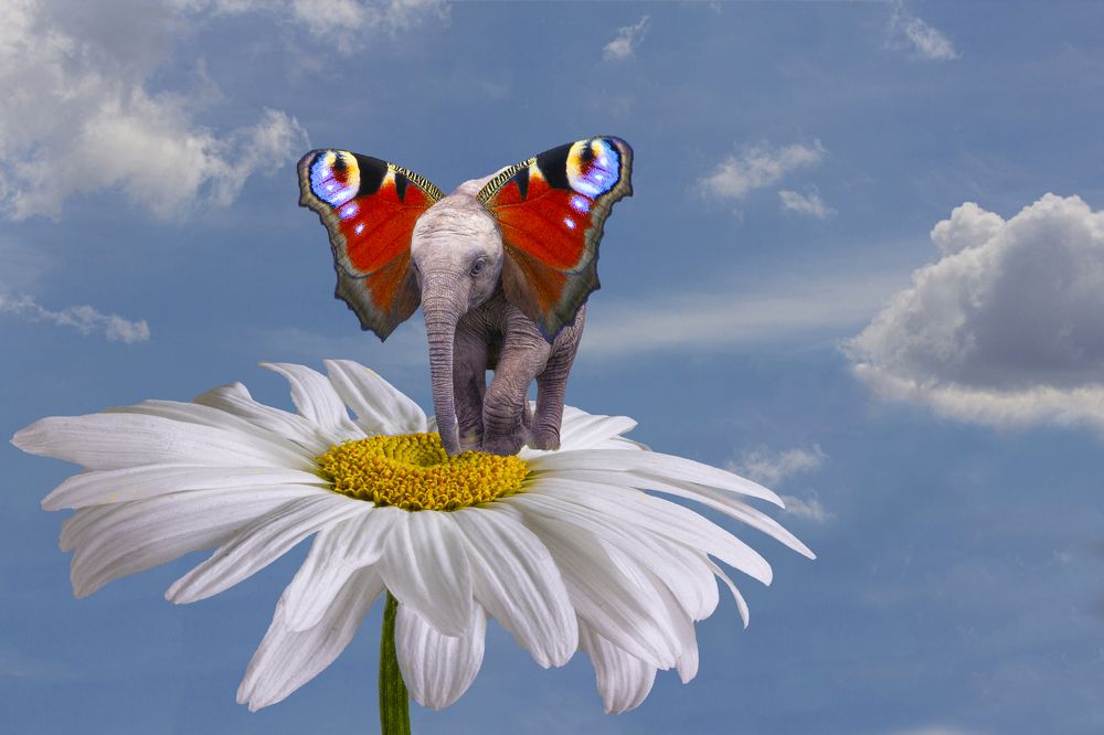 Photograph by Юрий Баженов