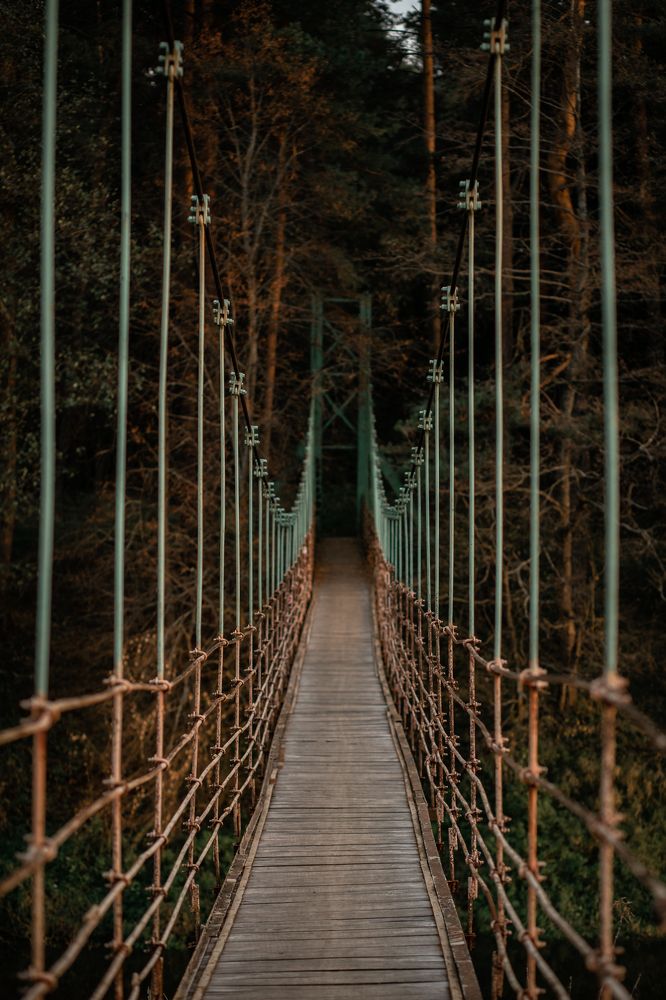 Photograph by Марина Пехтерева