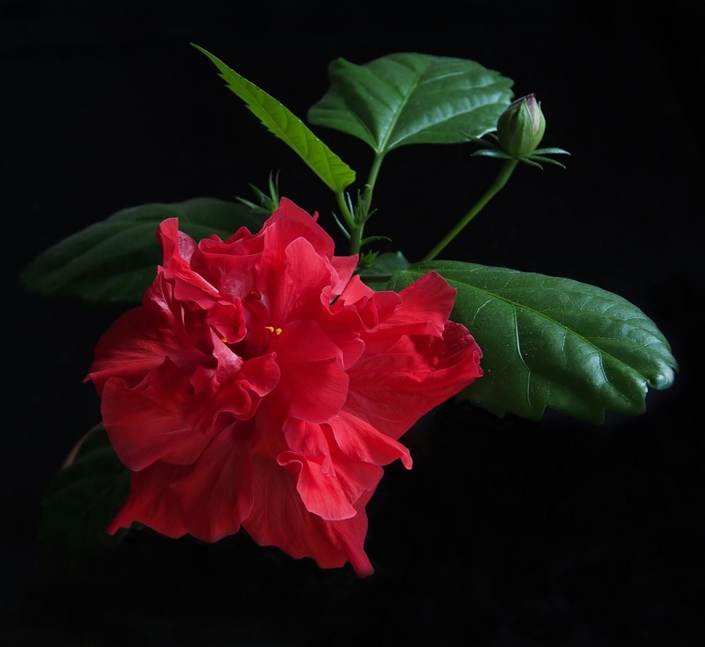 Photograph by Илфир Исламгазин