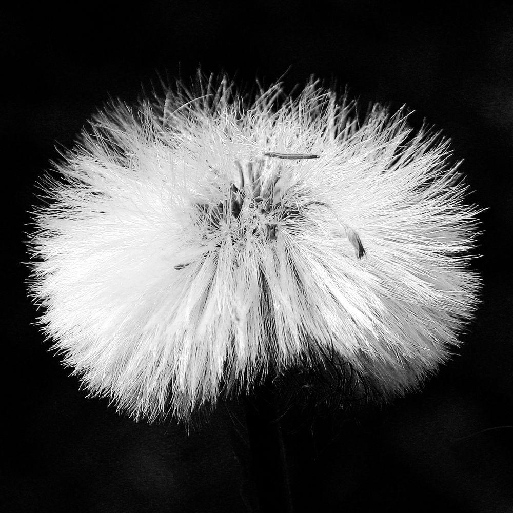 Photograph by Pavel Gukov