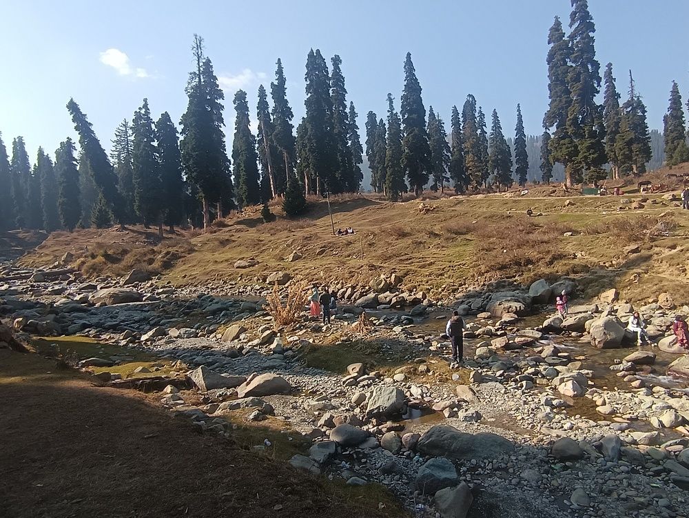 Photo #10886579