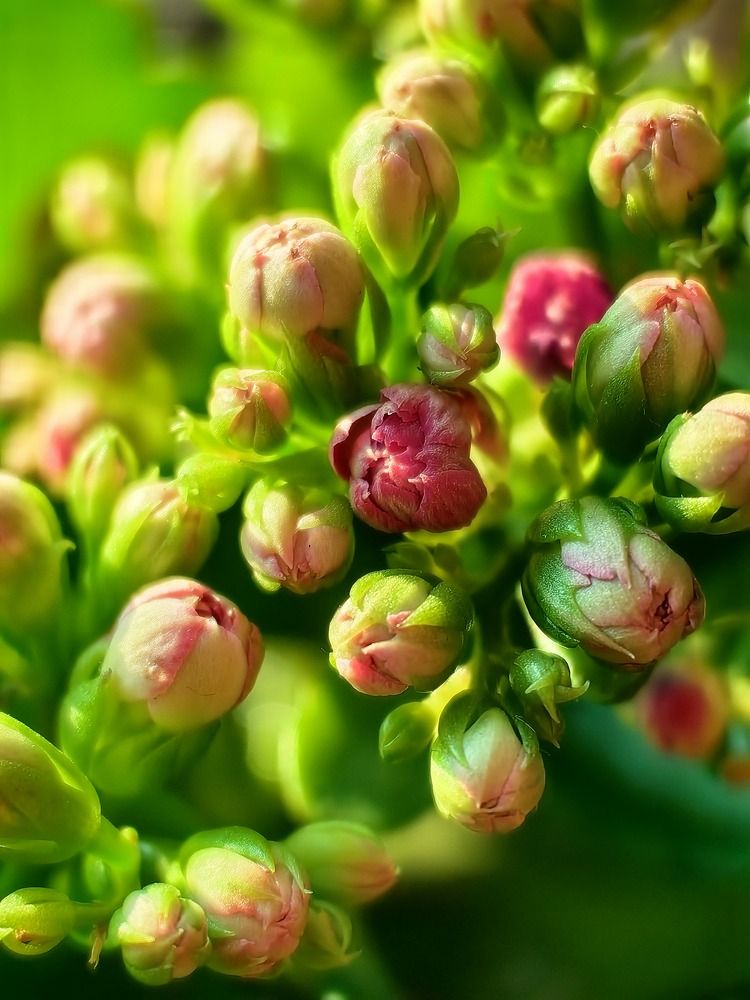 Photograph by Евгения Гриднева