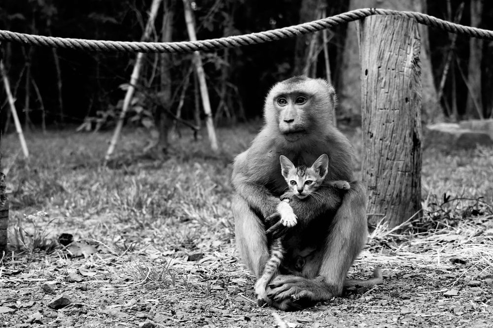 Photograph by Sao Phanni