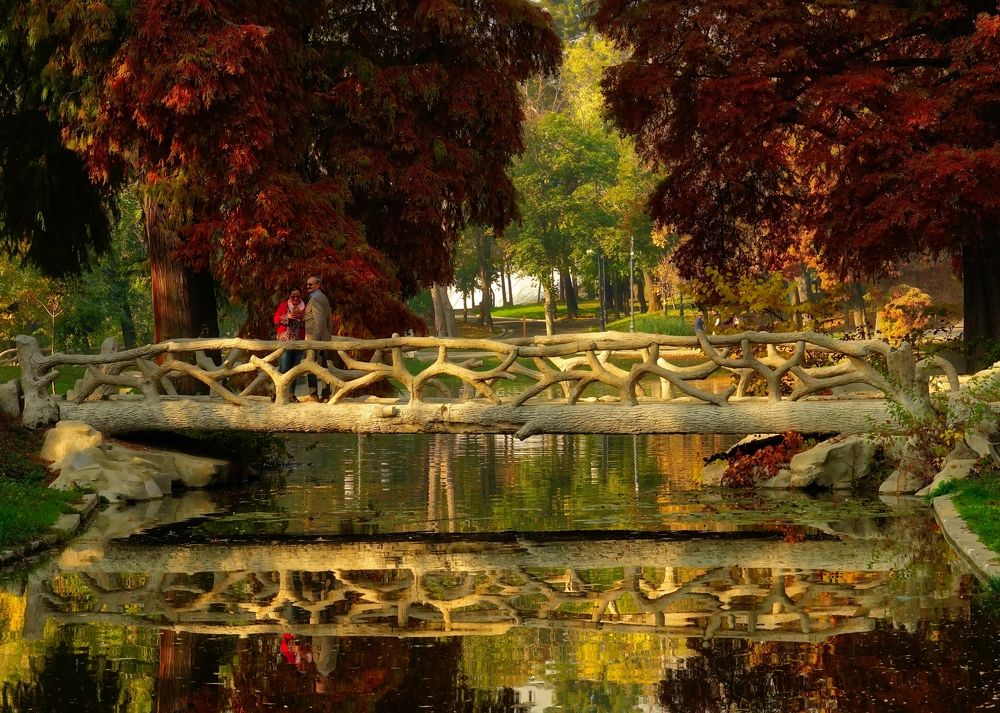 Photograph by Dragos Ivanel