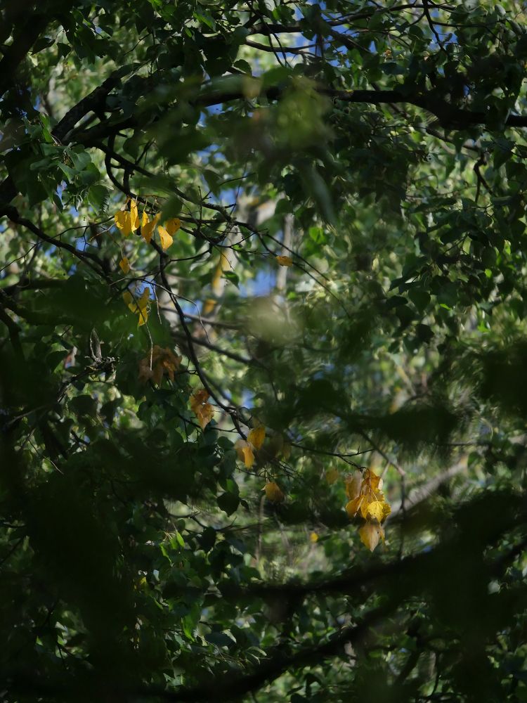 Вот и лето прошло