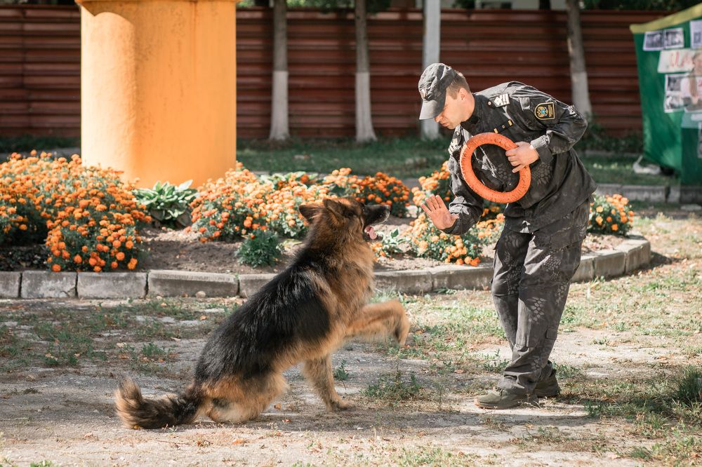 Photograph by Марина Пехтерева