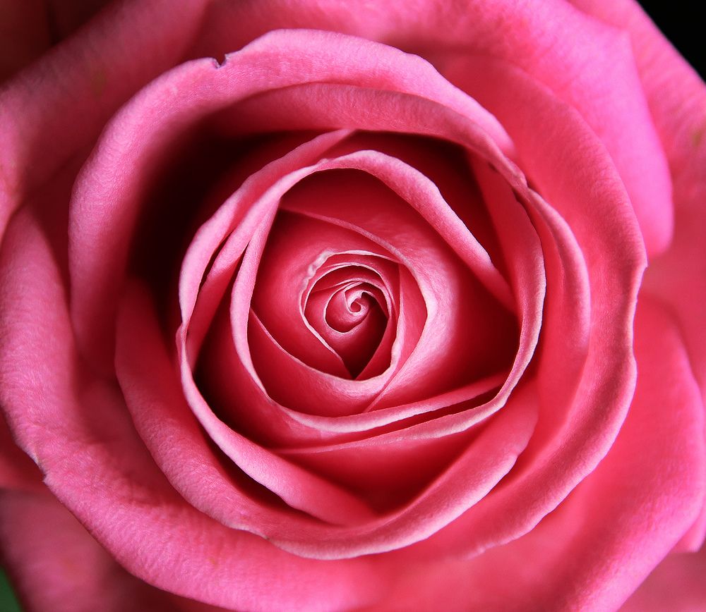 Фотография автора Кулешов Сергей