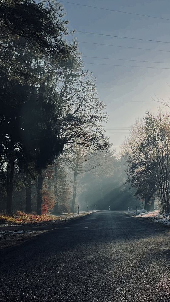 Photograph by Marina Hammerschmidt