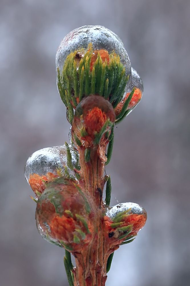 Photograph by Сергей Кочетов