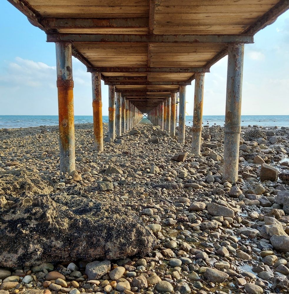 Photograph by Youstina Rowes