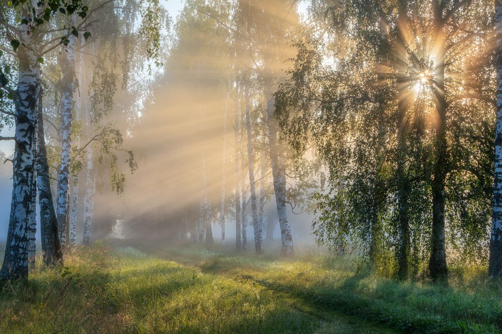 Фотография автора Alexander Pashenichev