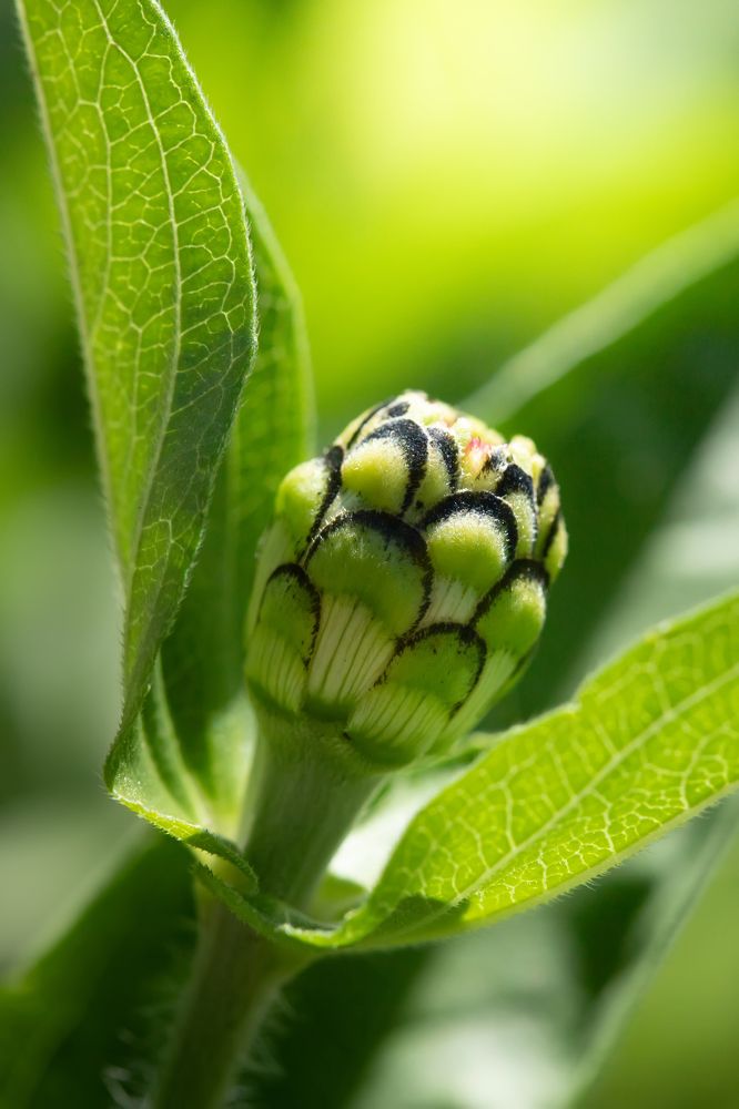 Photograph by Сергей Кочетов