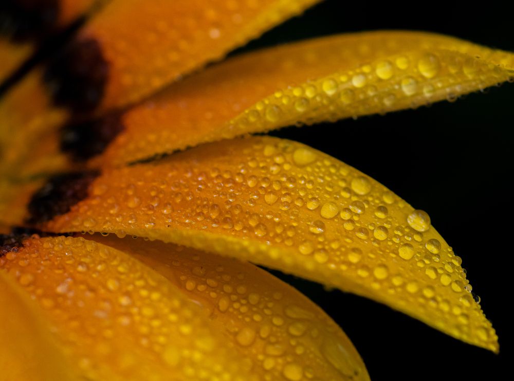 Photograph by Valdir Hobus