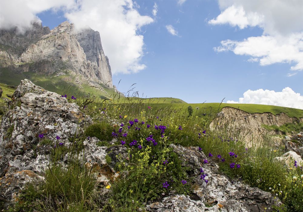 Фотография автора Людмила Костюкова