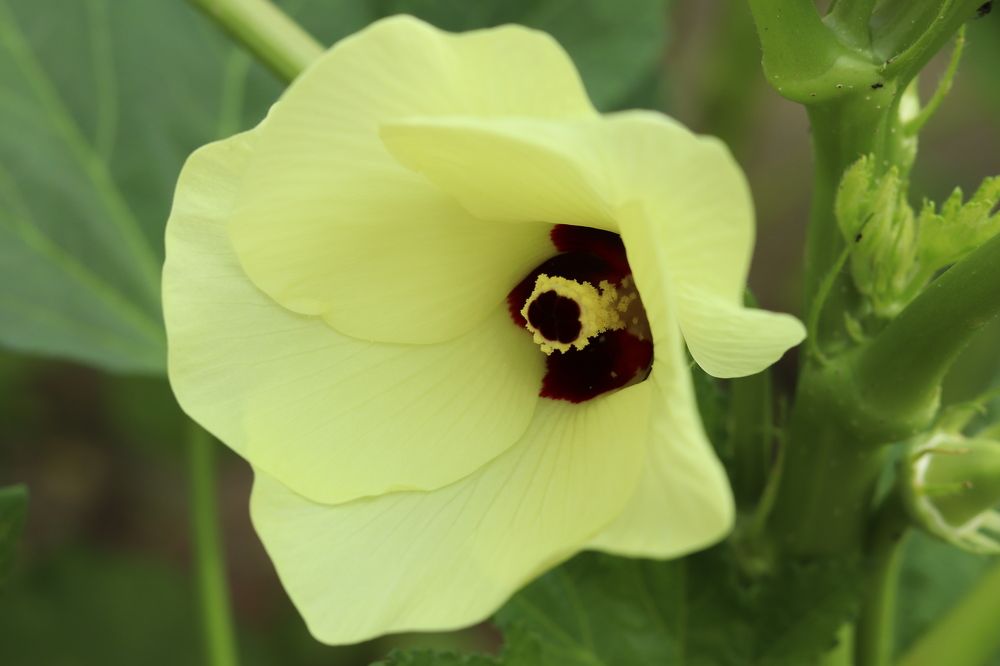 Photograph by Juliana