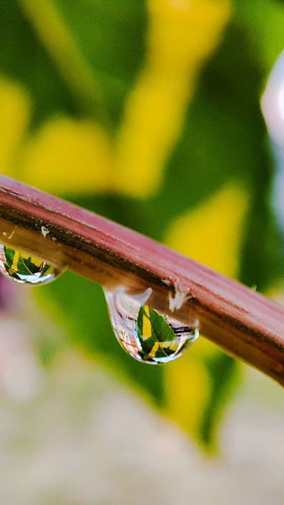 Photograph by Marina Selina