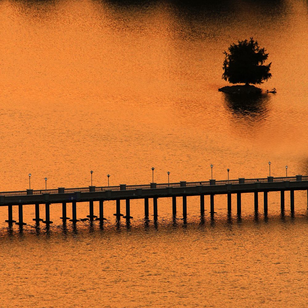 Photograph by 