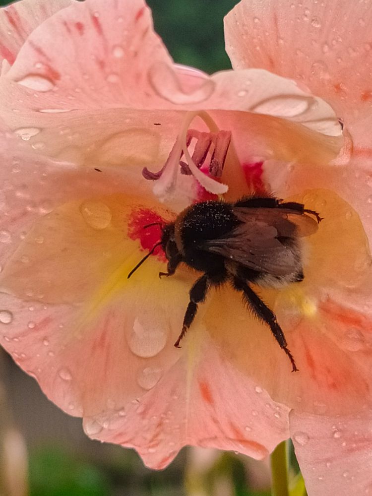 Photograph by Людмила Емельянчикова