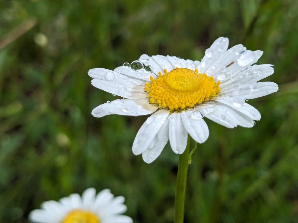 Photograph by Мария Гусакова