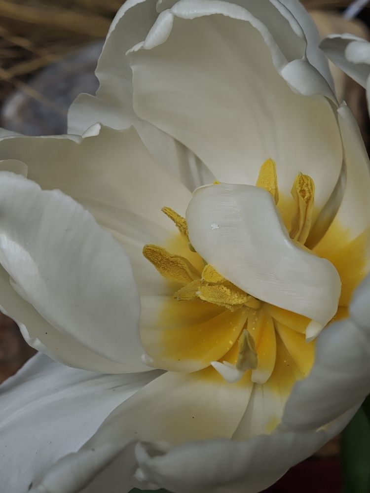 Photograph by Александра Шилова