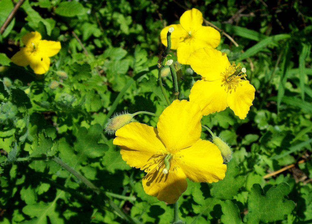 Photograph by Мигун Александра