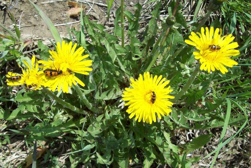 Photograph by Мигун Александра