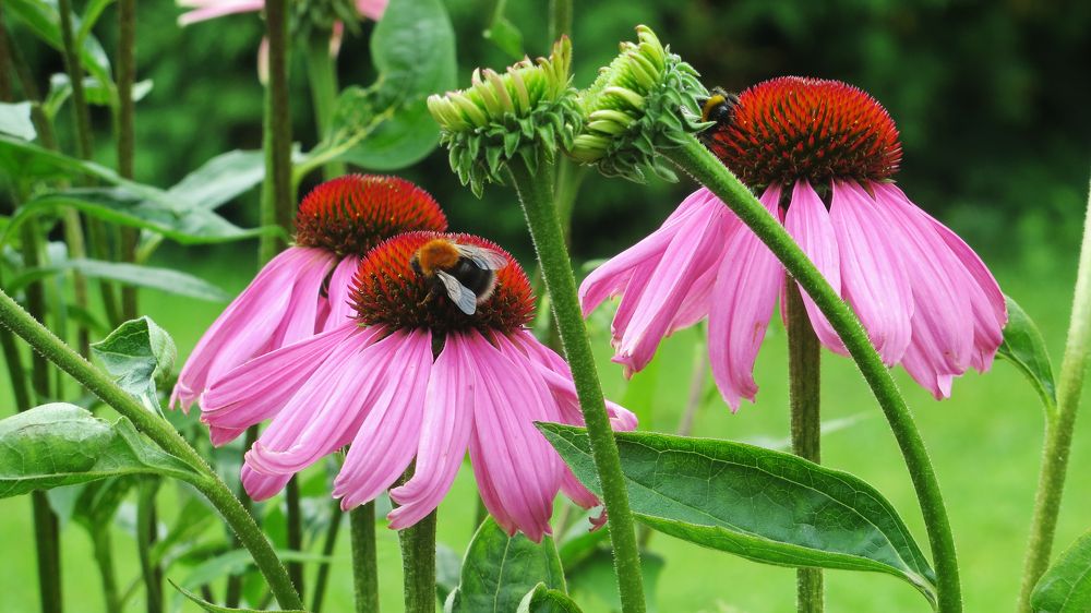 Photograph by Мигун Александра