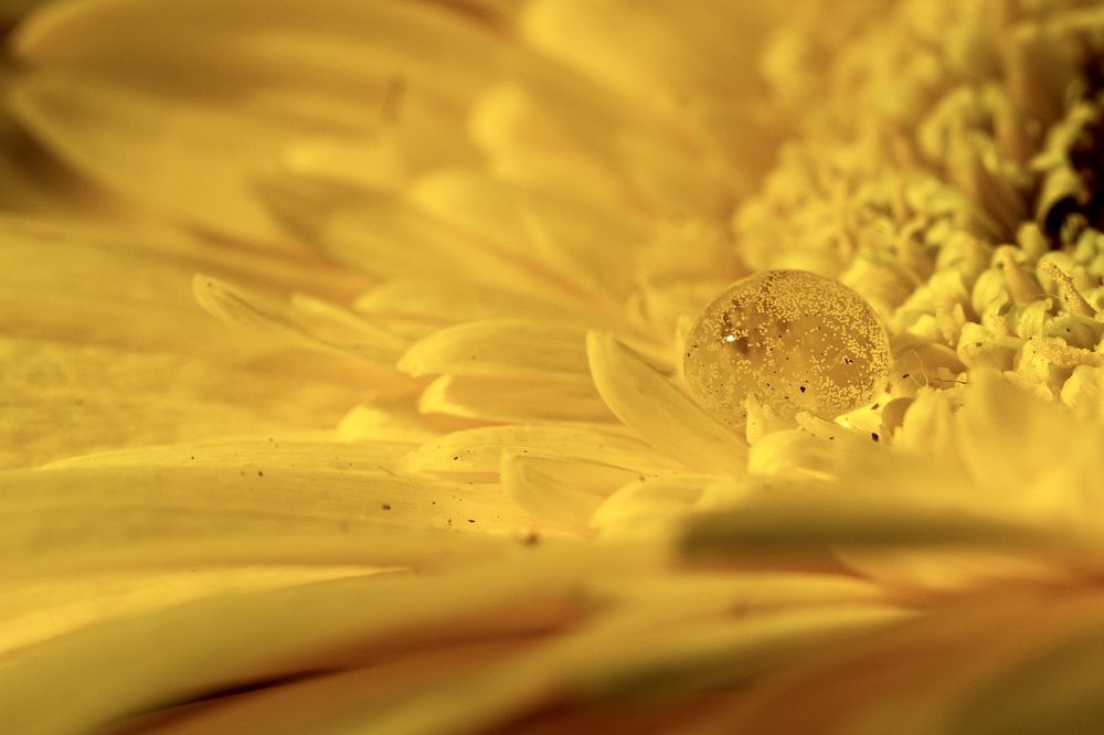 Фотография автора Viktoria Farkas