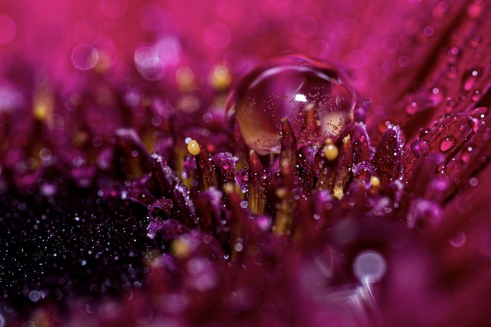 Фотография автора Viktoria Farkas